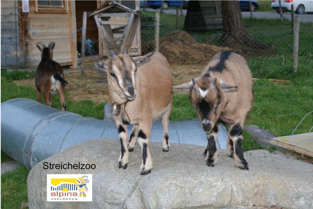 Ferien- Und Familienhotel Alpina Adelboden Eksteriør billede