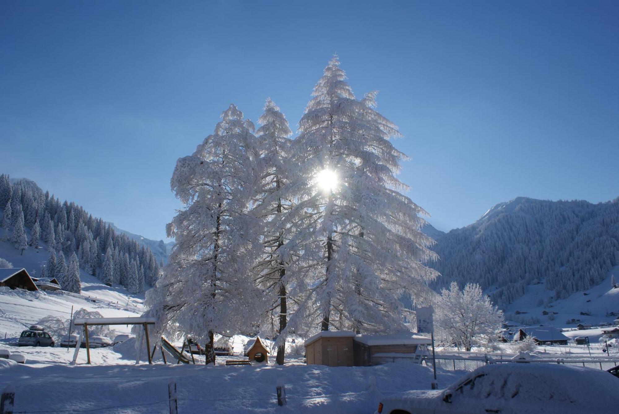 Ferien- Und Familienhotel Alpina Adelboden Eksteriør billede